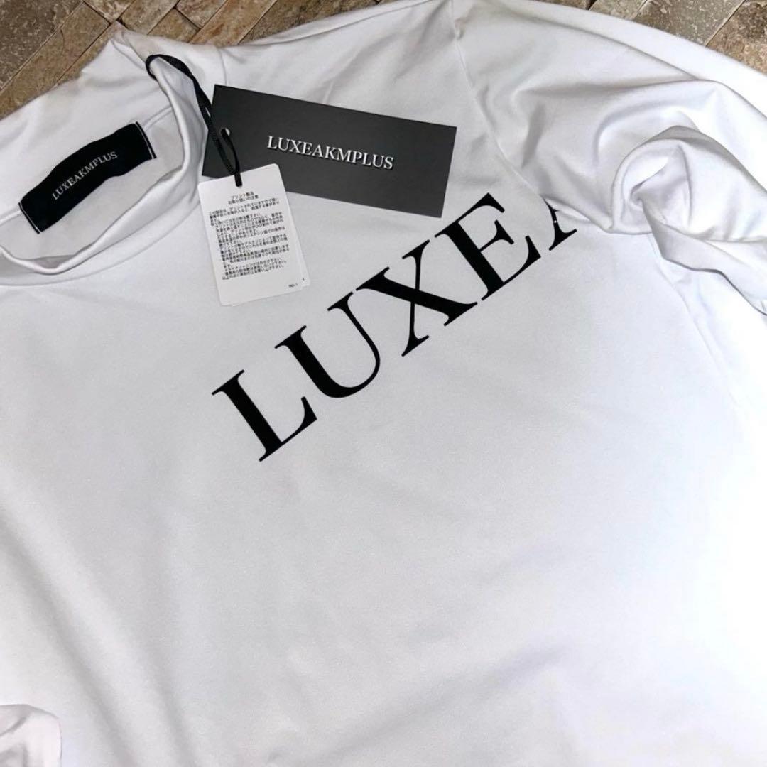 【新品】LUXEAKMPLUS AKM／厚手 モックネック ゴルフウェア