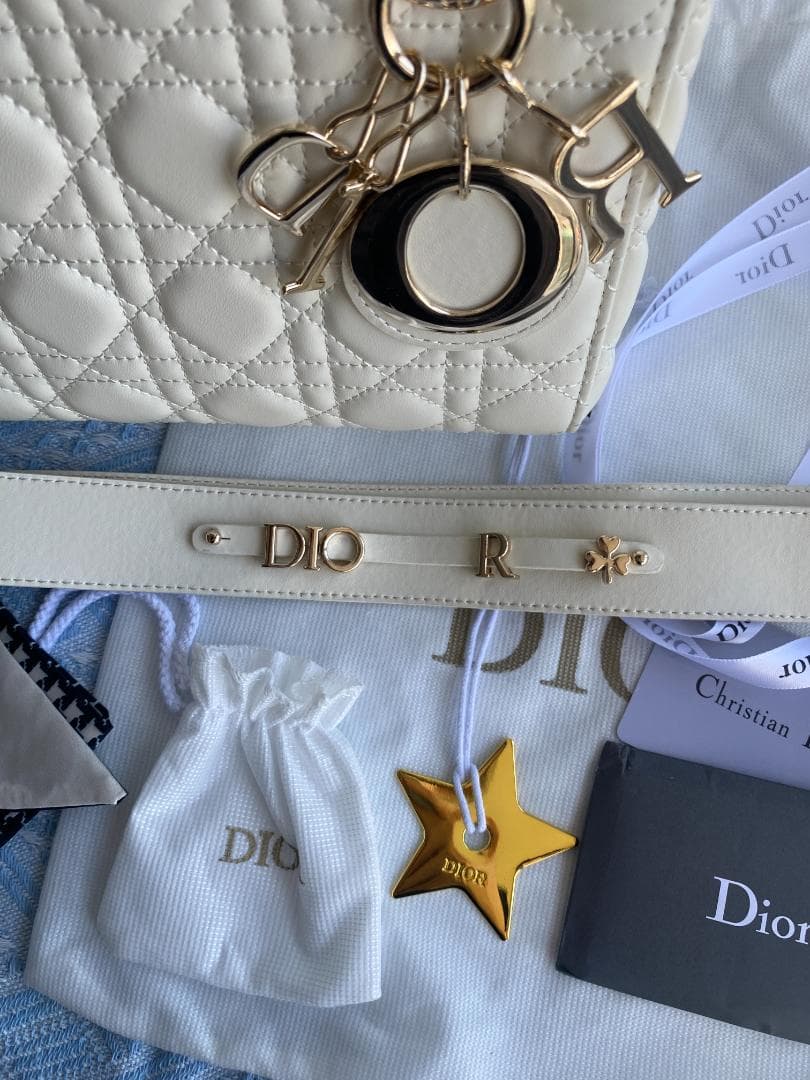 LADY DIOR スモールバッグ