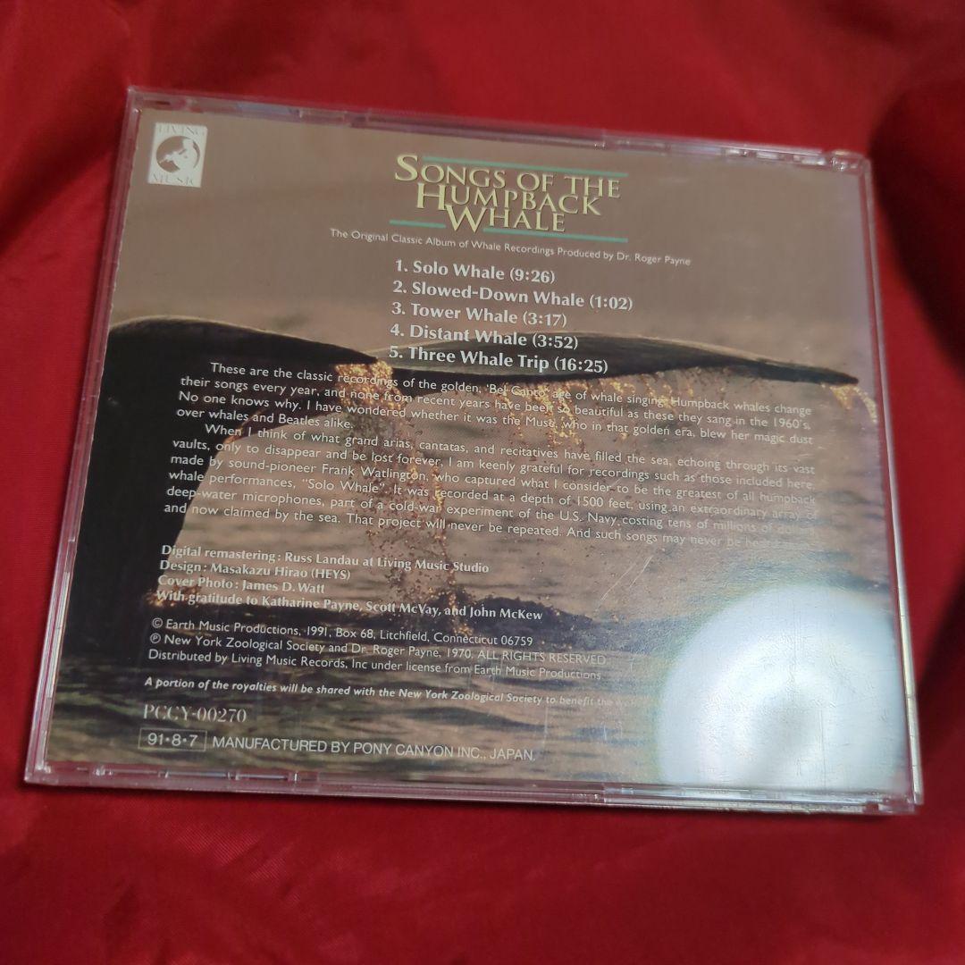 その他 SONGSOFTHEHUMPBACKWHALE