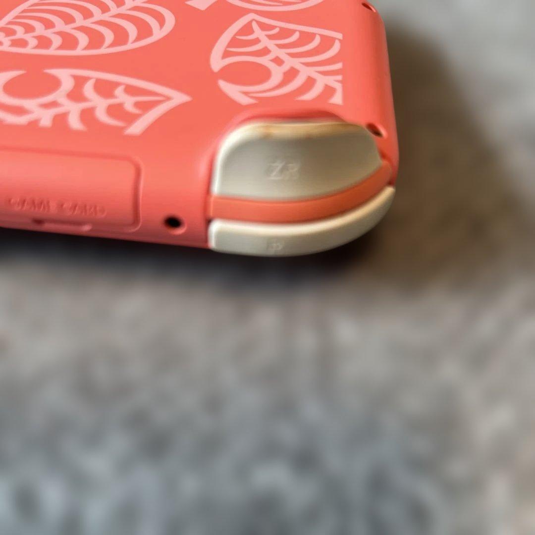 Nintendo Switch Lite どえぶつの森　しずえ