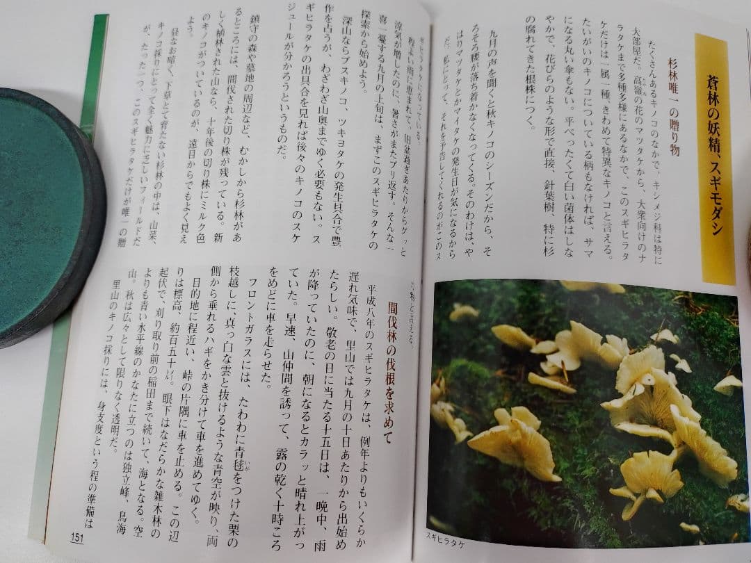 『あきた 山菜 キノコの四季』秋田 山菜採り キノコ狩り 実録 手引書 図鑑