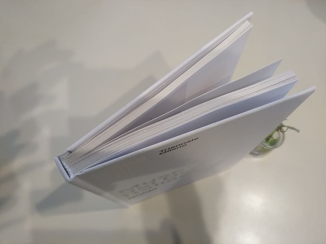 イタリア　プロダクトデザイン　資料本　ブリオンヴェガ　フロス　カッシーナ　B&B