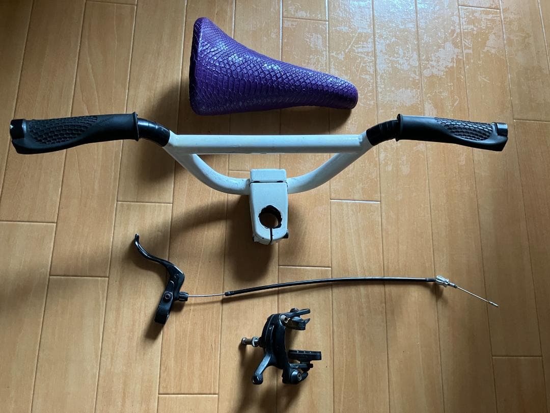 Pinarello Diesel ピナレロ ディーゼル コラボ ピストバイク