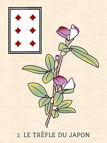 【正規品ルノルマンカード】入手困難／超希少カード✨日本の浮世絵を題材にしたデッキ