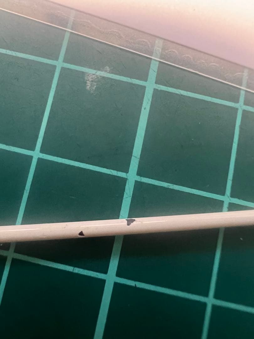 ロデオクラフト　999.9 ゴールドウルフ613SUL