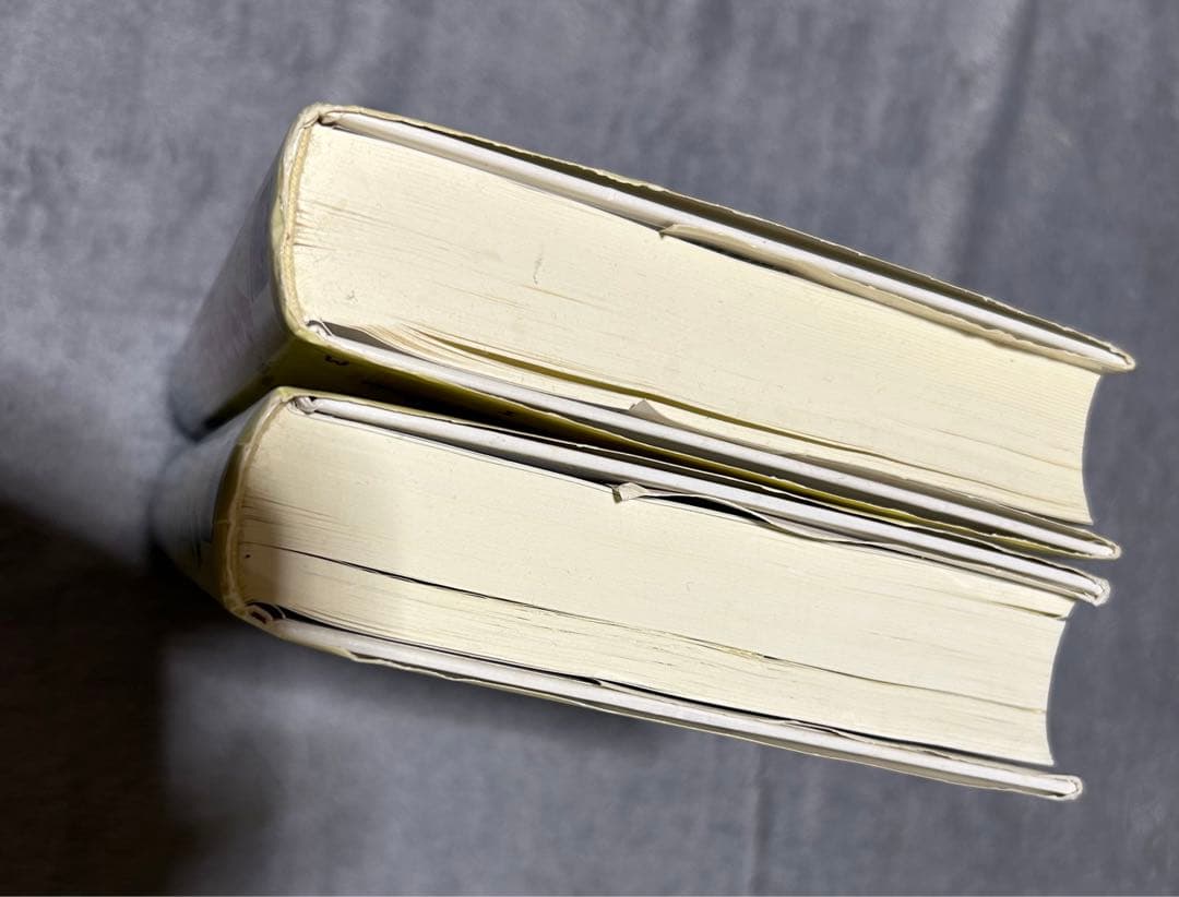 プライスアクショントレード入門 &プライスアクションとローソク足の法則 セット