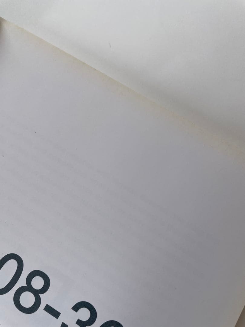 洋書 vb 08-36 vanessa beecroft performances