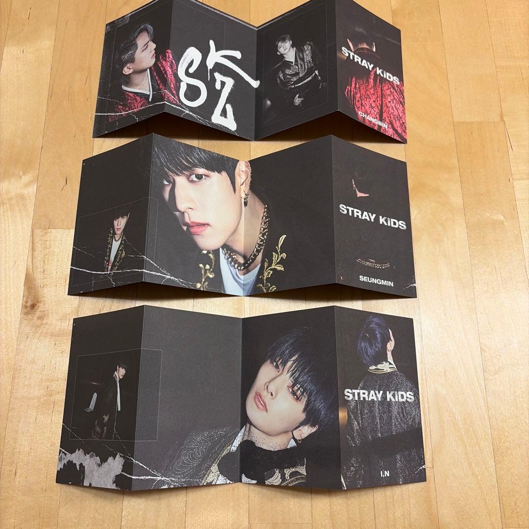 Stray Kids IN生　限定盤　CD