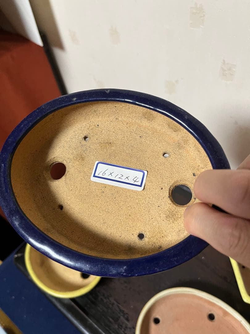 487 盆栽　盆栽鉢　植木鉢　和鉢　服部　山房　他