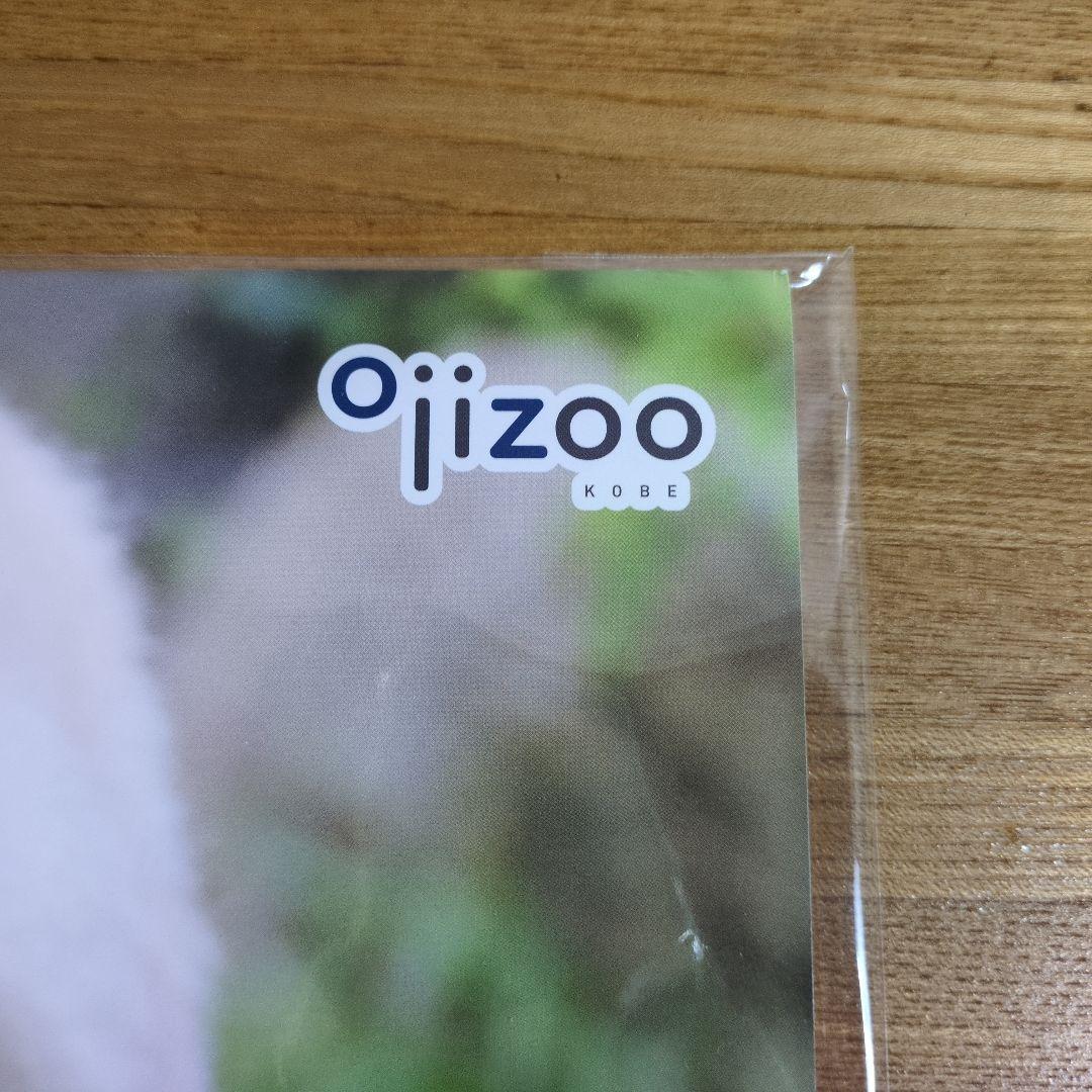 2023 2024 2025 パンダ　タンタン壁掛けカレンダー 未使用