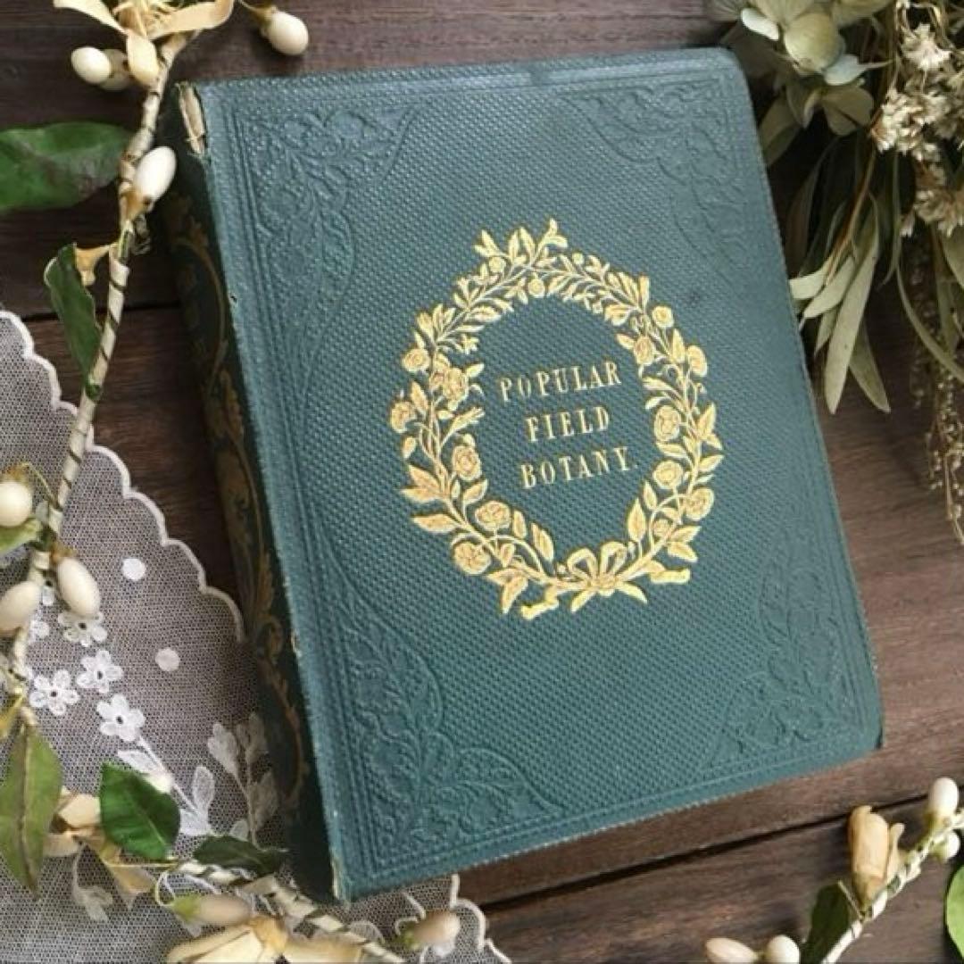 L833洋書古書 【1852年発行】大変希少なイギリスのアンティーク植物図鑑