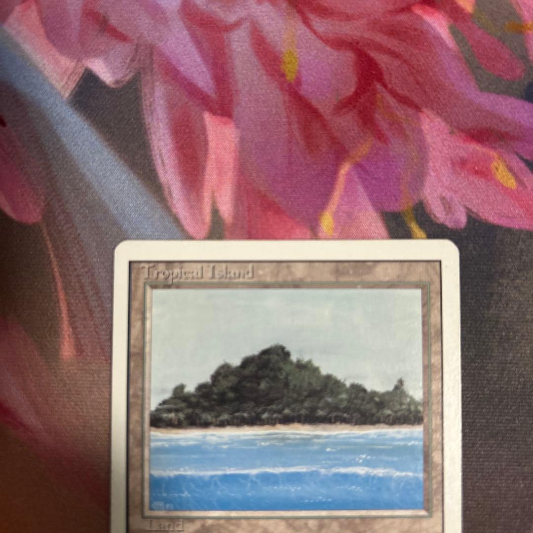 《Tropical 》[3ED] MTG