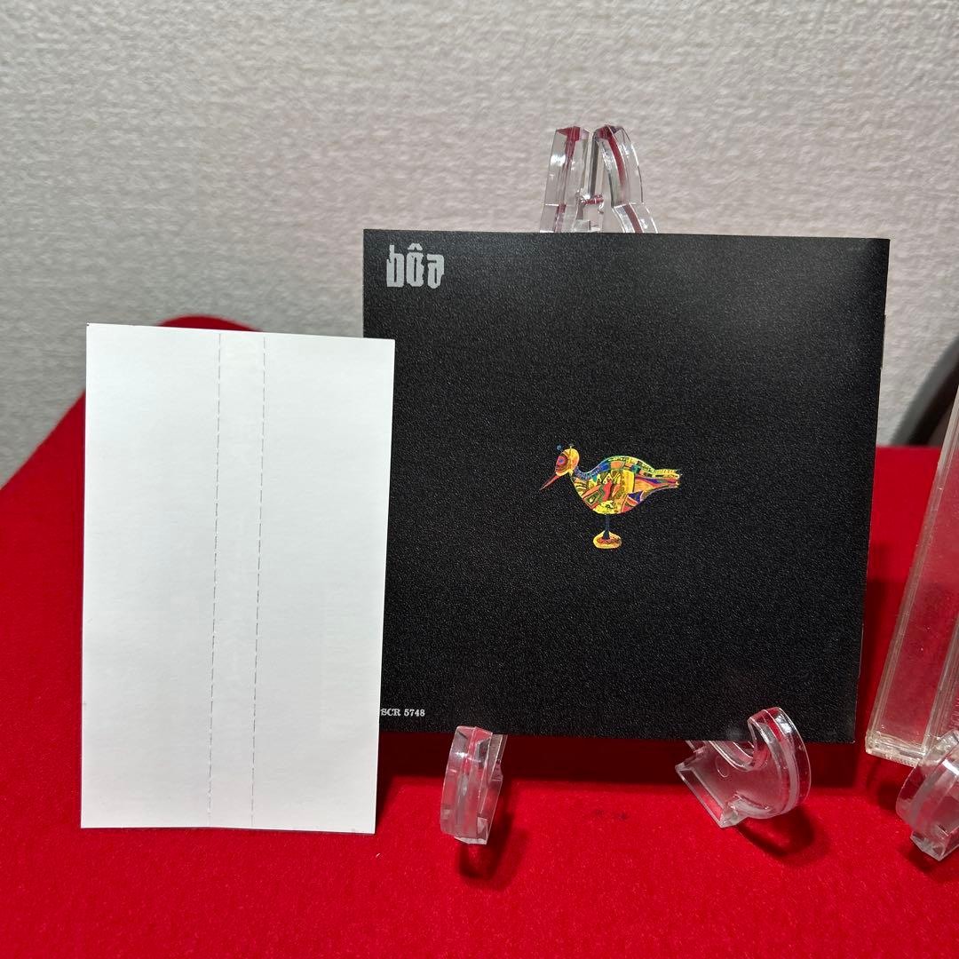 ボア/トール・スネーク・EP lain