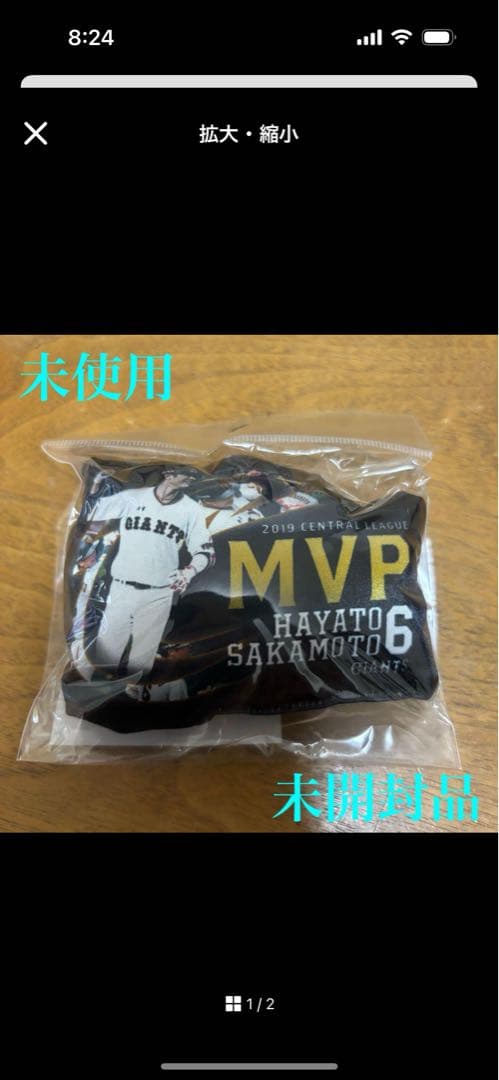 さわえ　計10点