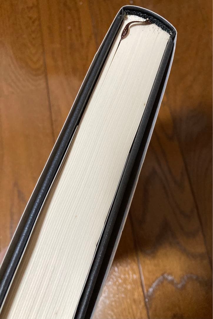 心情文化の主人 文顕進 W-CARP 会長 講演集