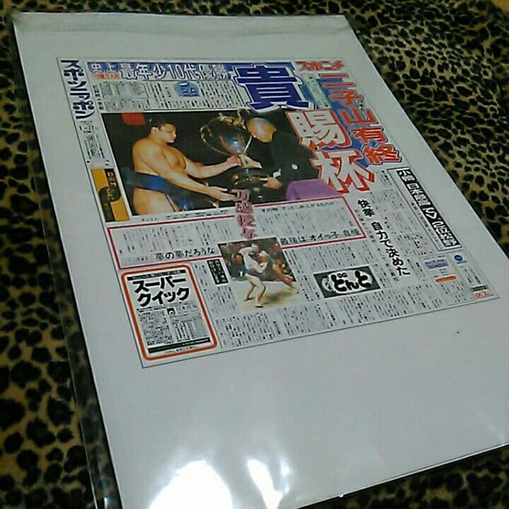 大相撲名勝負永久保存版冊子当時物栃若～若乃花貴乃花