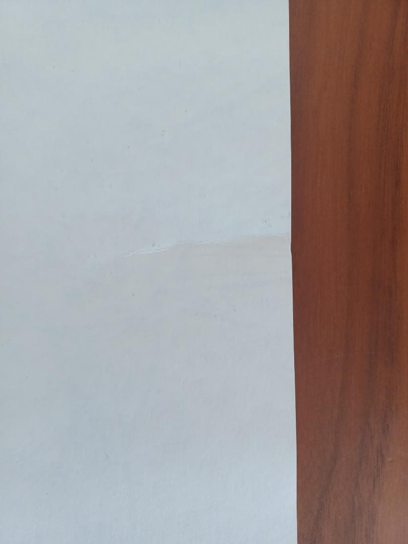 【レア】ドラゴンボールZ DVD-BOX Z編 Vol.2 特典ポスター