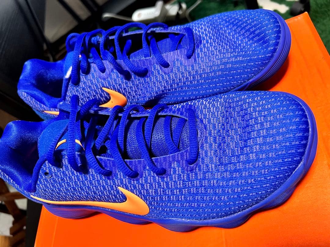 【28】Nike ナイキ ハイパーダンク2017 ロー \"レーサーブルー