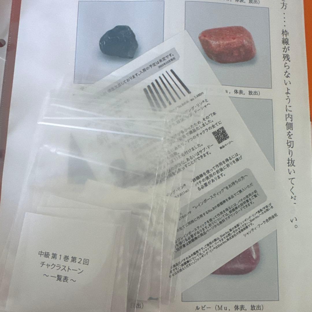 竹下雅敏氏、東洋医学セミナー、DVD