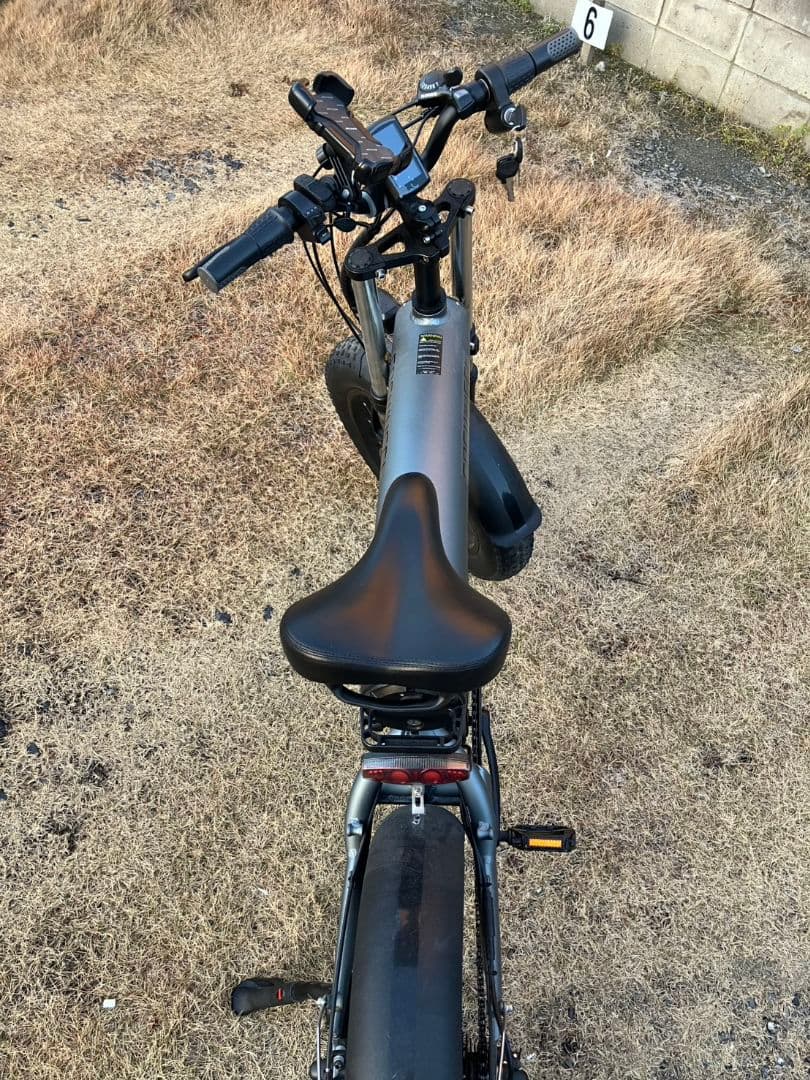 疾*風様 COSWHEEL 電動アシスト自転車