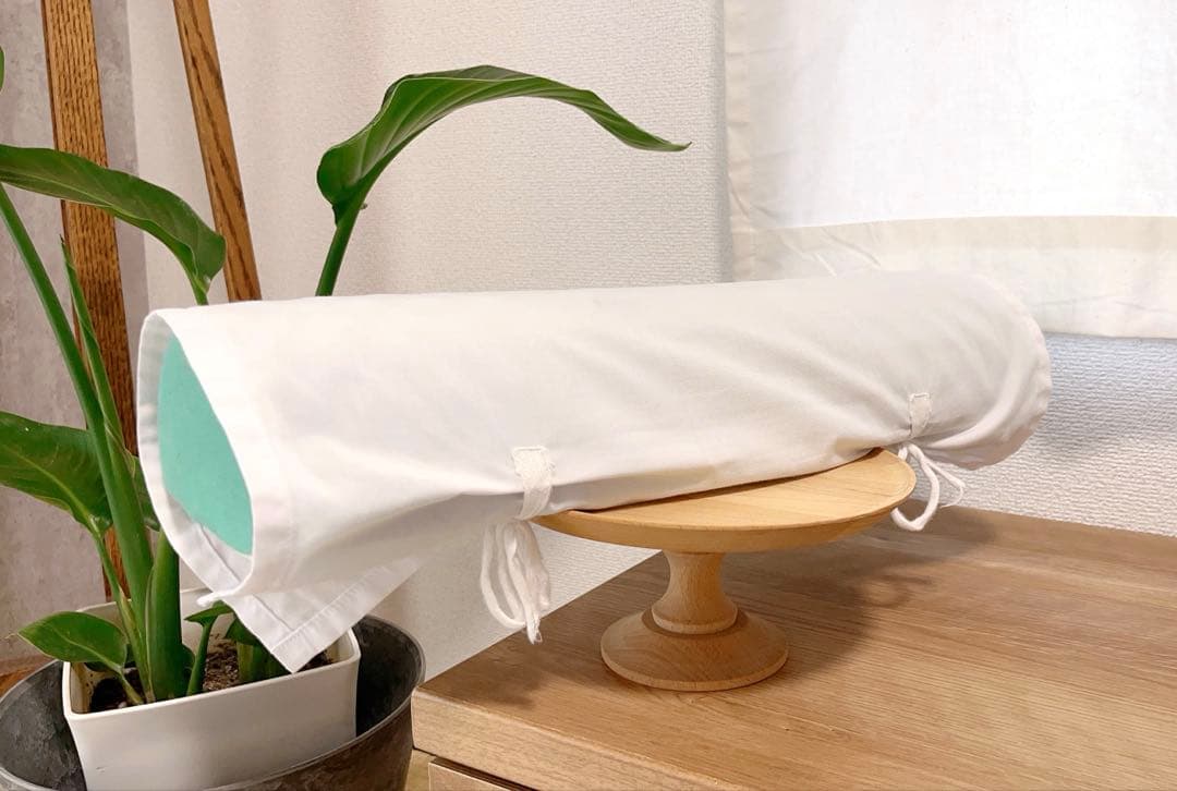 【美品】運動まくら　あおたけ　AOTAKE