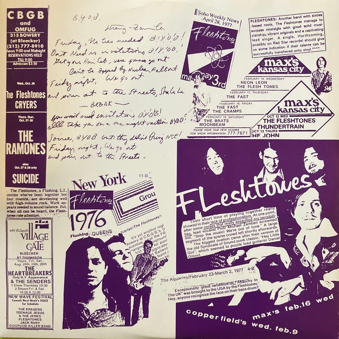 美品! The Fleshtones BLAST OFF! 220gレコード