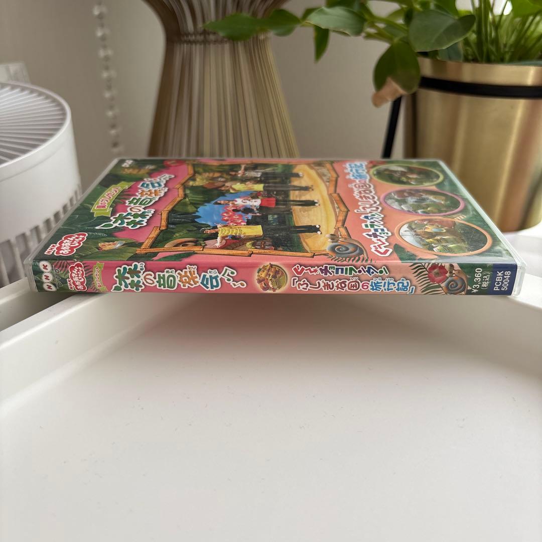 NHKおかあさんといっしょ 夏のプレゼント 森のおんがく会 ぐ～チョコランタン…