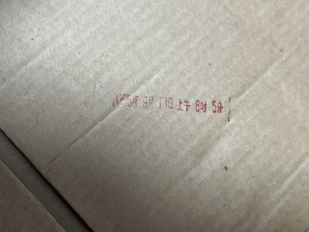 激レア希少T19 ×MAD FOOT マッドキャロル 28cm伝説の一足 Y2K