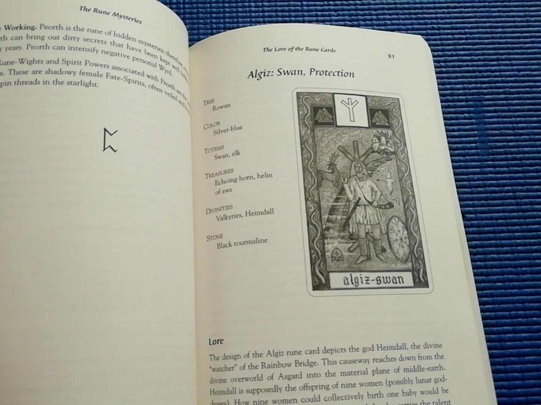 洋書 Rune Mysteries: Companion to the Witches