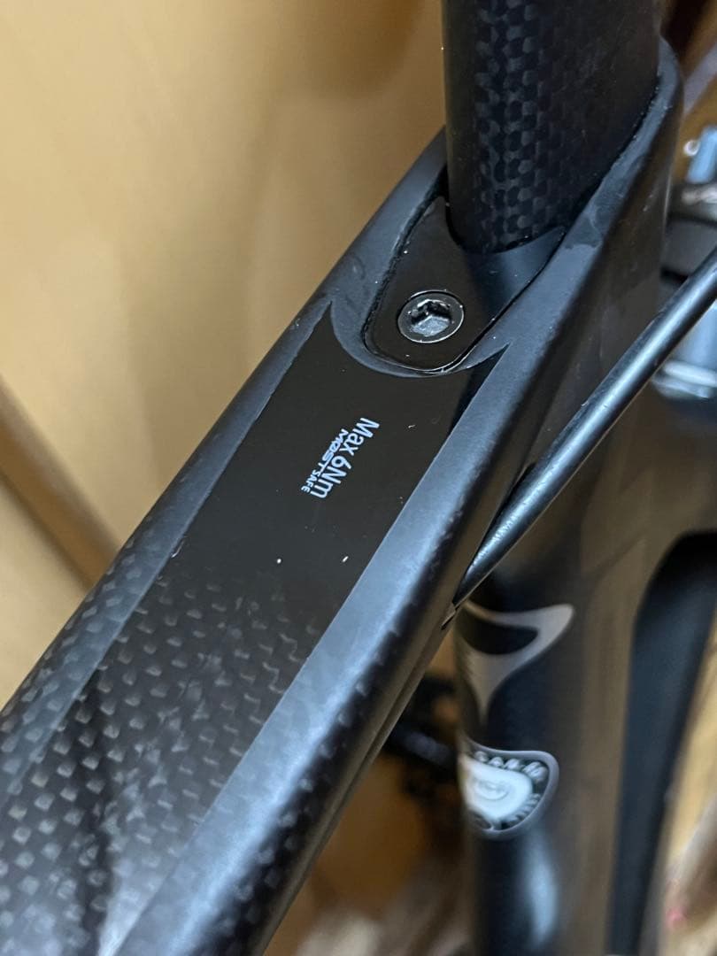 Pinarello ピナレロ ガン RS T900