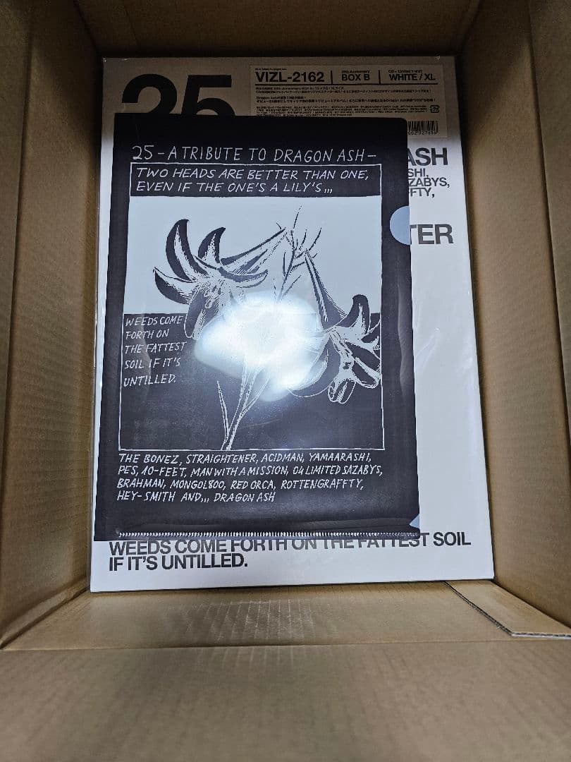 最終値下げ　25 -A Tribute To Dragon Ash-　BOX B