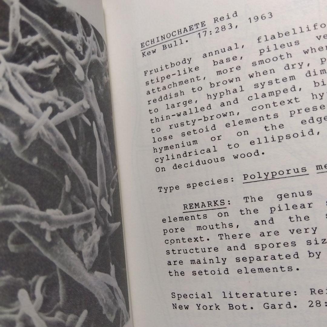 キノコ関係洋書　3冊セット