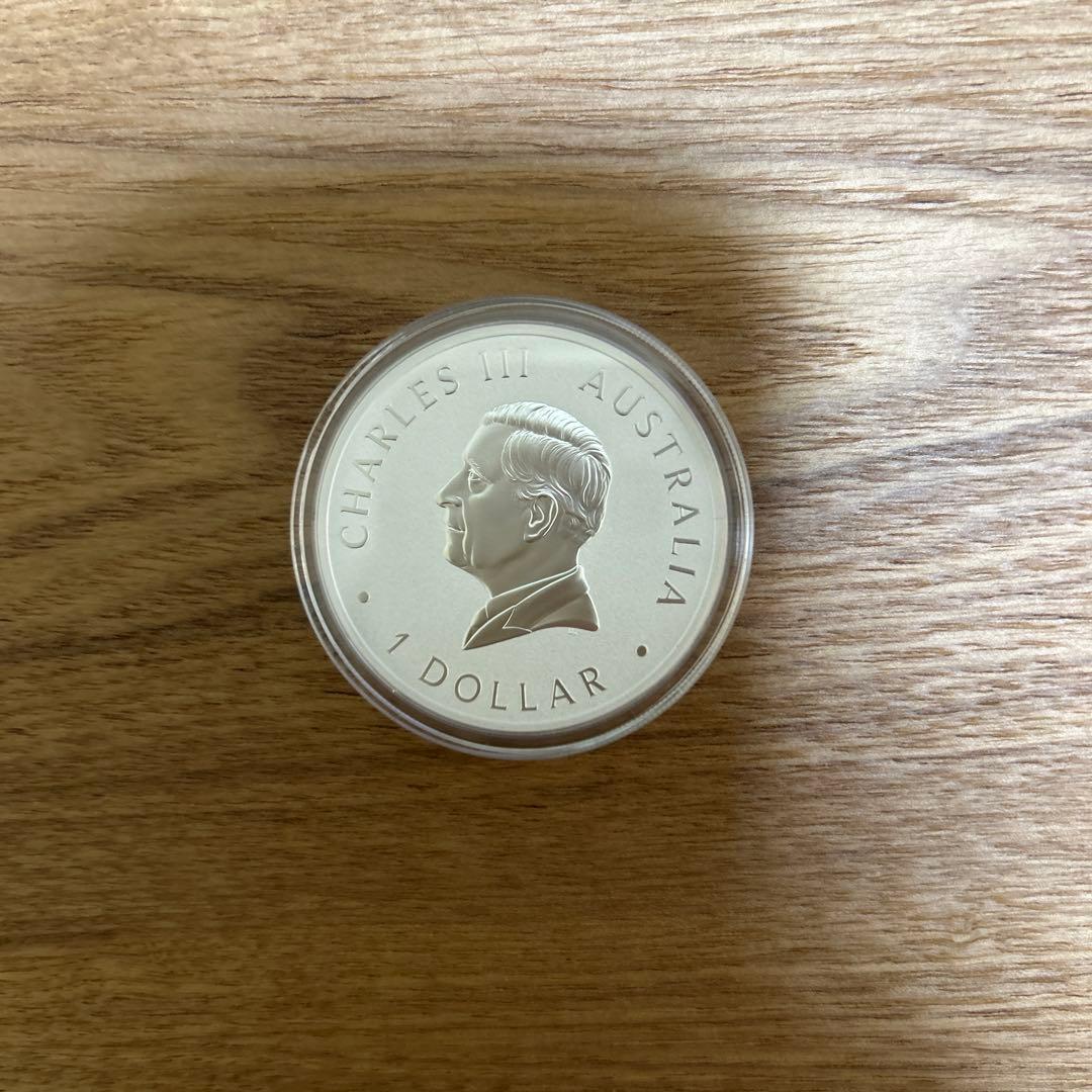 銀　2024 カワセミ