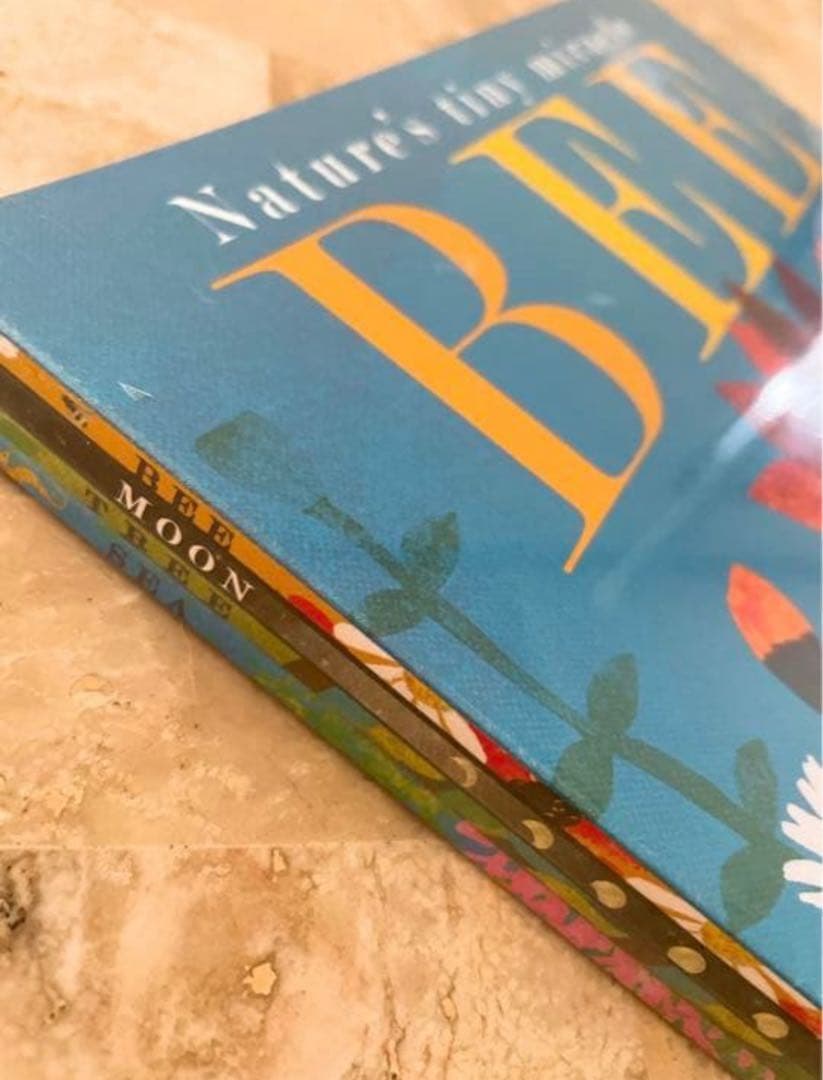 子供から大人まで、うっとりする切り抜き絵本　ブリッタ・テッケントラップ