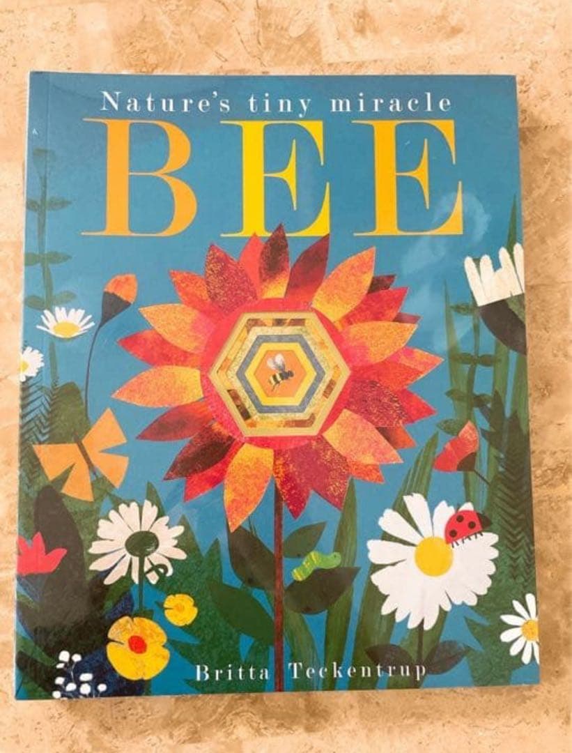 子供から大人まで、うっとりする切り抜き絵本　ブリッタ・テッケントラップ