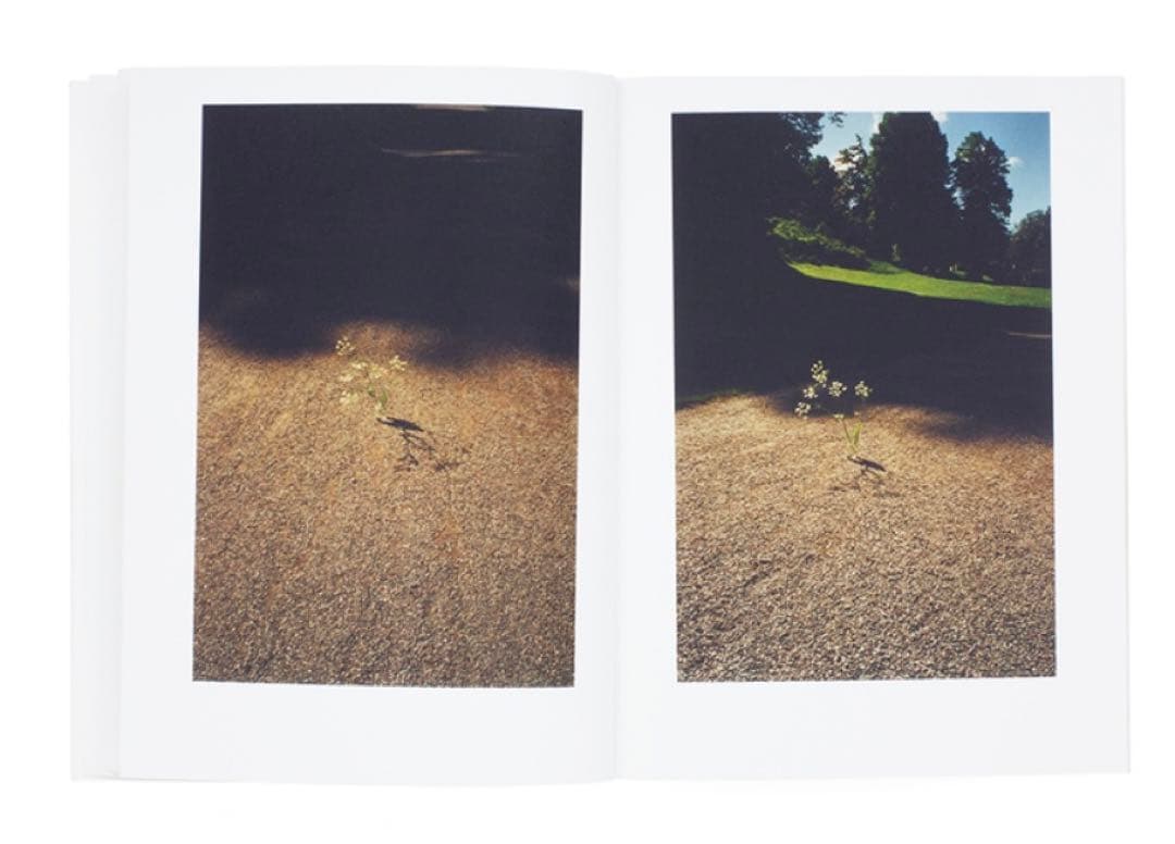 【希少 500部限定】White Flowers 永瀬沙世 作品集 写真集