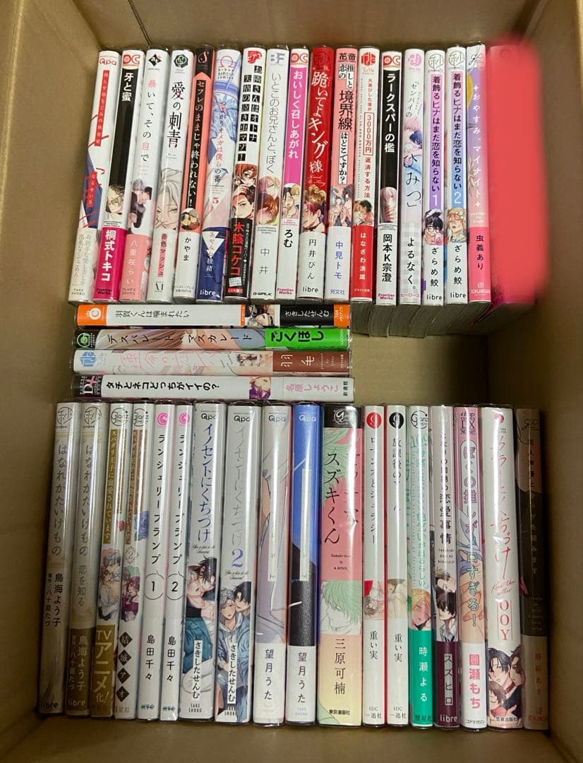 BLコミック 商業BL まとめ売り 160冊