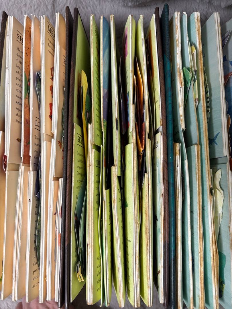 【洋書】ロバートサブダ　仕掛け絵本