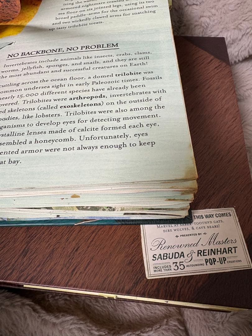 【洋書】ロバートサブダ　仕掛け絵本