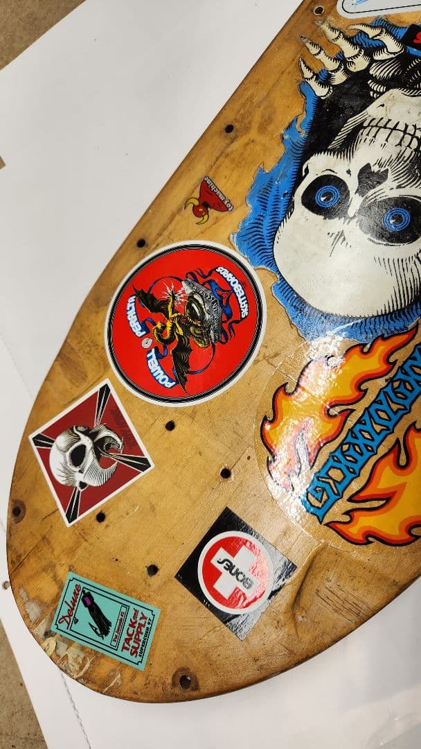スカル、 スケートボードデッキ、インテリア に　ブランド不明