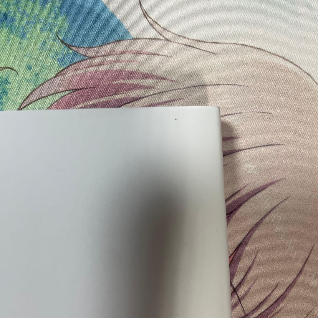 ポケモンカードゲーム アートコレクション オーバーラップ 特典カードなし