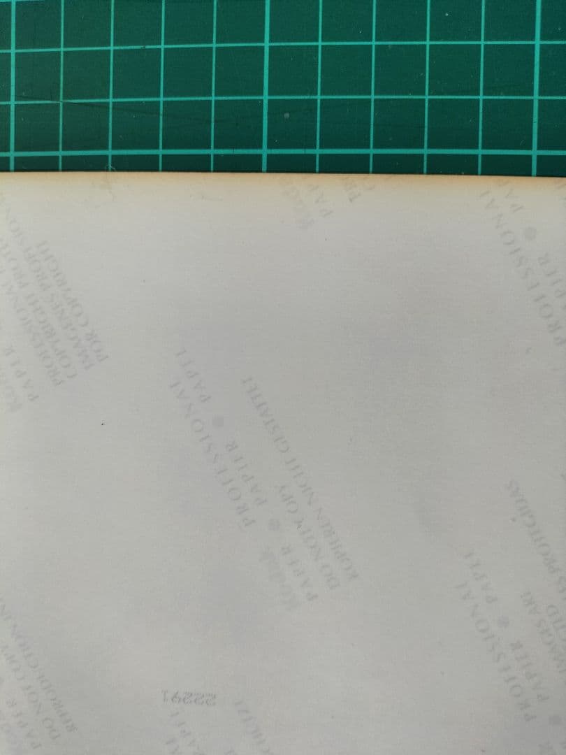 セックス・ピストルズ　生写真　シリアルナンバー『22291』Kodak