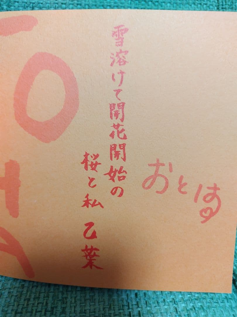 Love story 乙葉写真集 乙葉本 オトハゴコロ