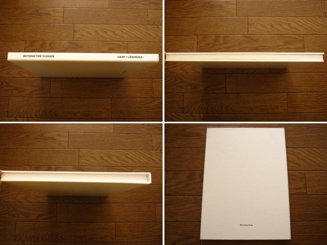 Hart+Leshkina　BEYOND THE CLOUDS　限定500部