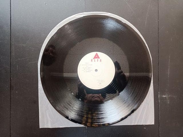 吉田美奈子　TOWN MONSTER STOMP