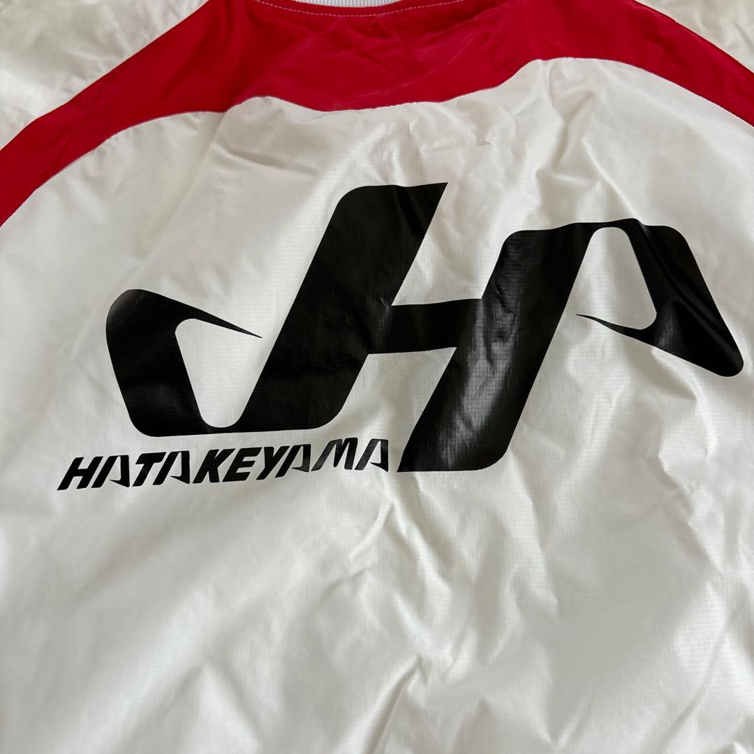 ハタケヤマ Vジャン　ピステ　グラコン　野球　希少