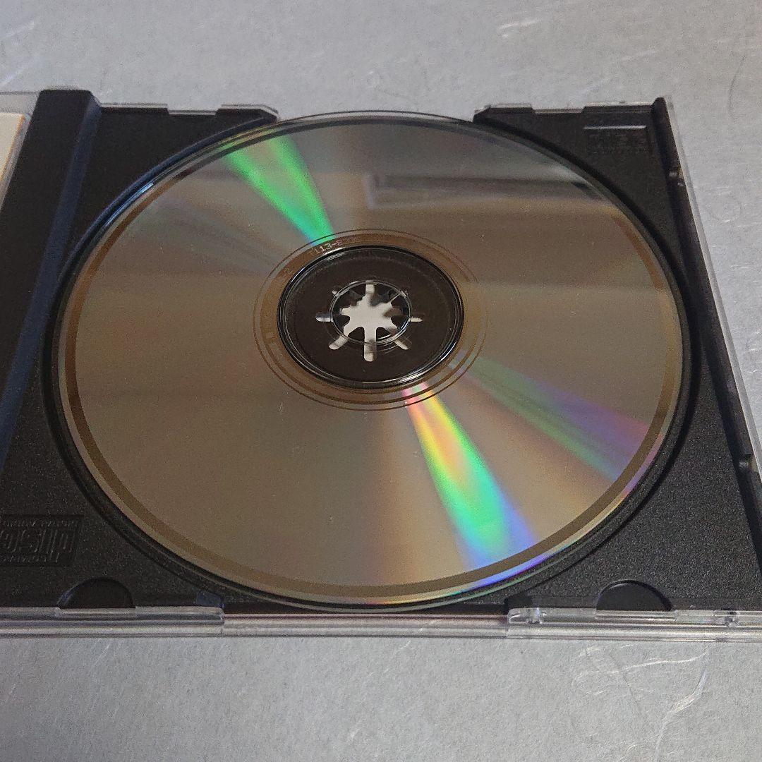 サリーイップ   (珍重)