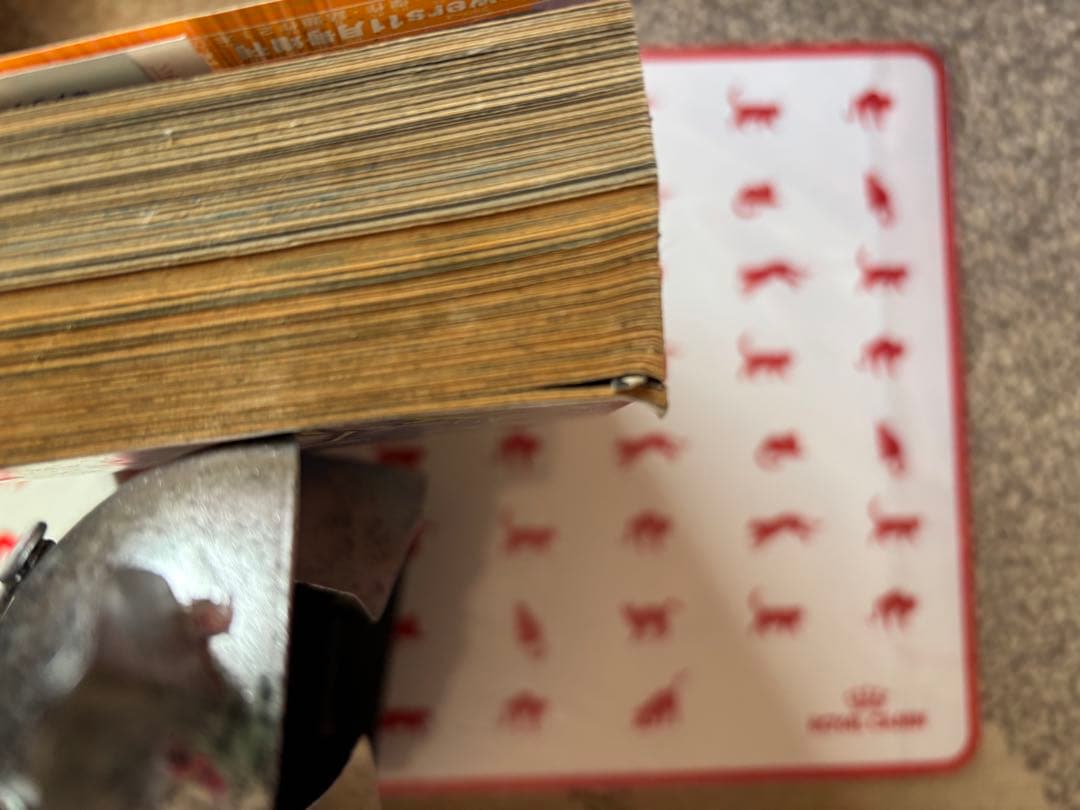 特別企画 さいとうちほが迫るアイスダンスの舞台裏 flowers 2月号