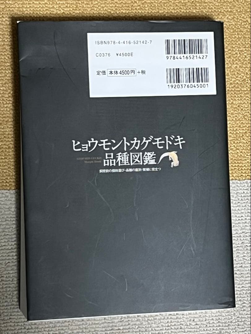 ヒョウモントカゲモドキ品種図鑑
