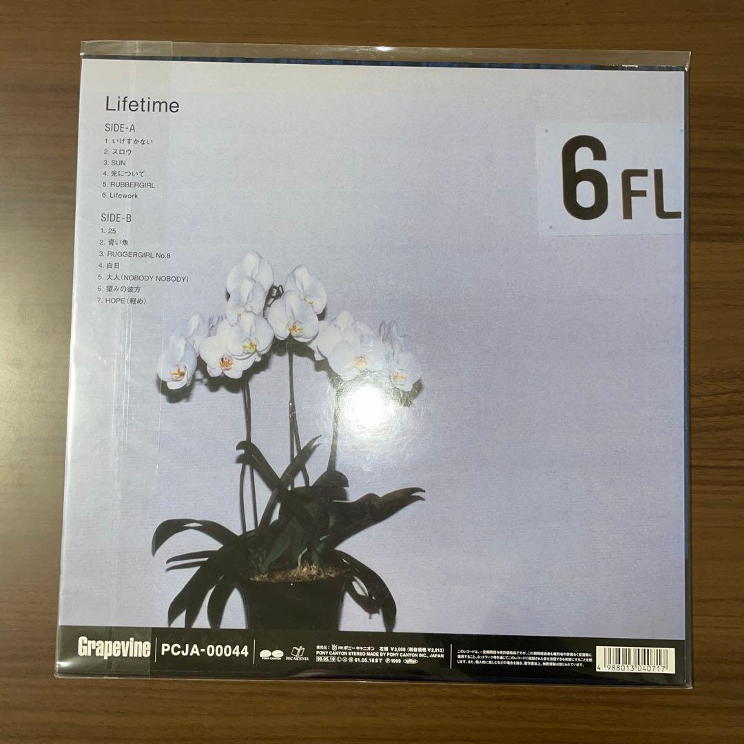 GRAPEVINE「Lifetime」
